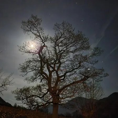 Blea Tarn Gasthof Ambleside